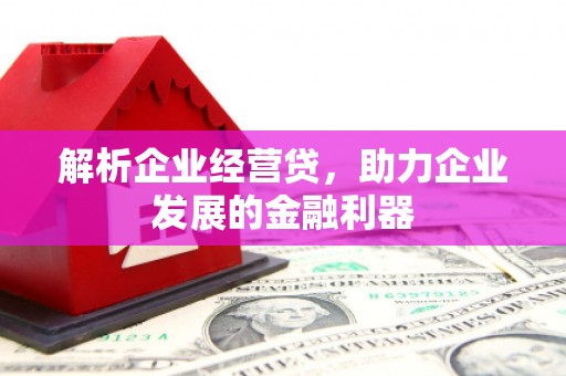 海东解析企业经营贷，助力企业发展的金融利器