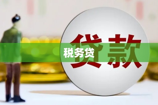 海东税务贷
