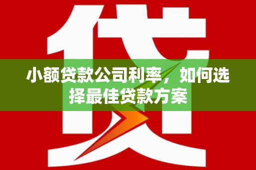 海东小额贷款公司利率，如何选择最佳贷款方案