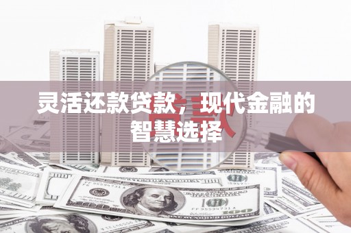 海东灵活还款贷款，现代金融的智慧选择