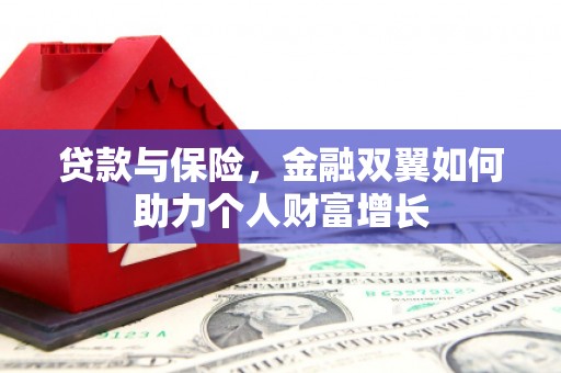 海东贷款与保险，金融双翼如何助力个人财富增长