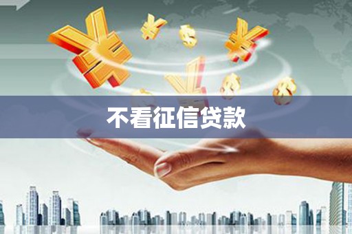 海东不看征信贷款