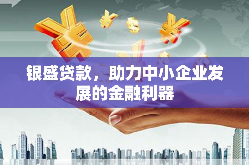 海东银盛贷款，助力中小企业发展的金融利器