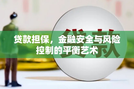 海东贷款担保，金融安全与风险控制的平衡艺术