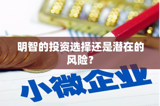 海东明智的投资选择还是潜在的风险？