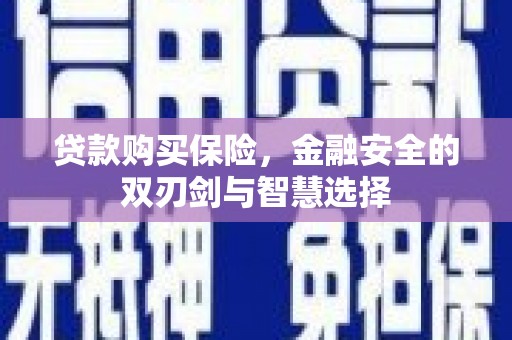 海东贷款购买保险，金融安全的双刃剑与智慧选择