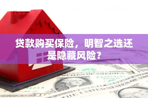 海东贷款购买保险，明智之选还是隐藏风险？