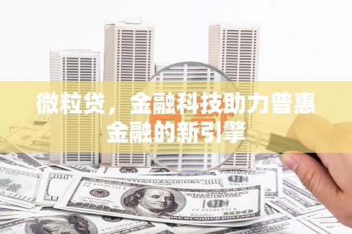 海东微粒贷，金融科技助力普惠金融的新引擎