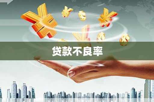 海东贷款不良率
