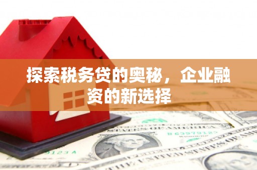 海东探索税务贷的奥秘，企业融资的新选择