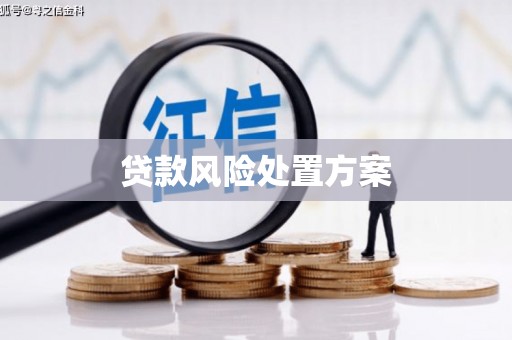 海东贷款风险处置方案