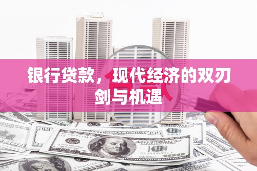 海东银行贷款，现代经济的双刃剑与机遇