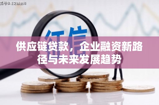 海东供应链贷款，企业融资新路径与未来发展趋势