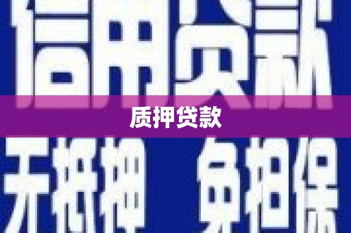 海东质押贷款