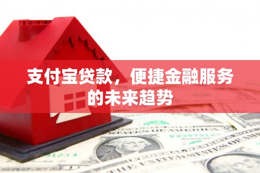 海东支付宝贷款，便捷金融服务的未来趋势