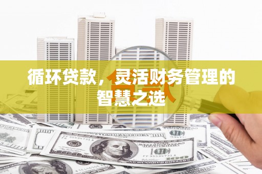 海东循环贷款，灵活财务管理的智慧之选