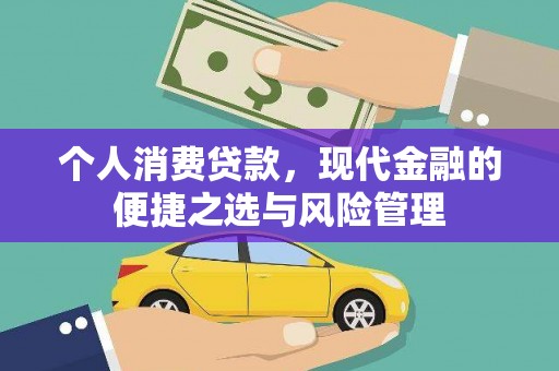 海东个人消费贷款，现代金融的便捷之选与风险管理