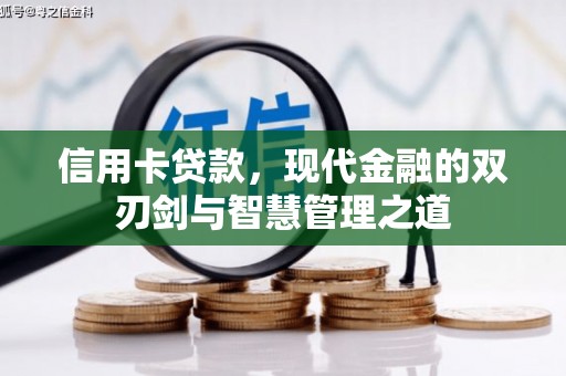 海东信用卡贷款，现代金融的双刃剑与智慧管理之道
