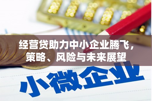 海东经营贷助力中小企业腾飞，策略、风险与未来展望