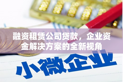 海东融资租赁公司贷款，企业资金解决方案的全新视角
