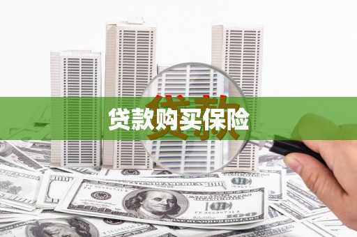 海东贷款购买保险