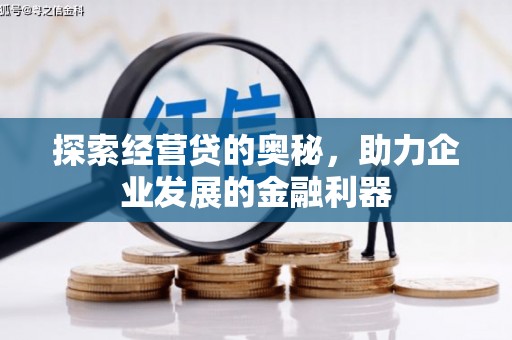 海东探索经营贷的奥秘，助力企业发展的金融利器