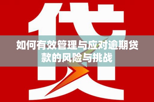 海东如何有效管理与应对逾期贷款的风险与挑战