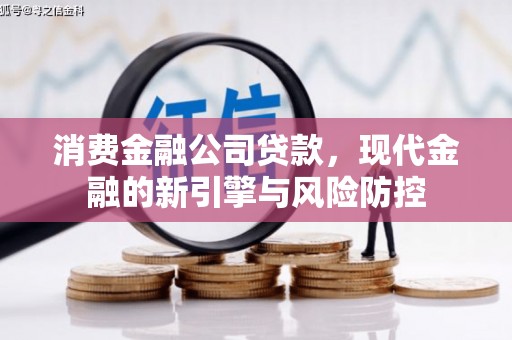 海东消费金融公司贷款，现代金融的新引擎与风险防控