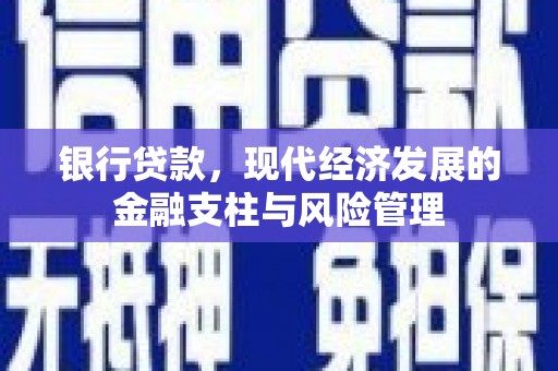 海东银行贷款，现代经济发展的金融支柱与风险管理
