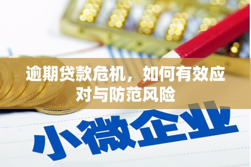 海东逾期贷款危机，如何有效应对与防范风险