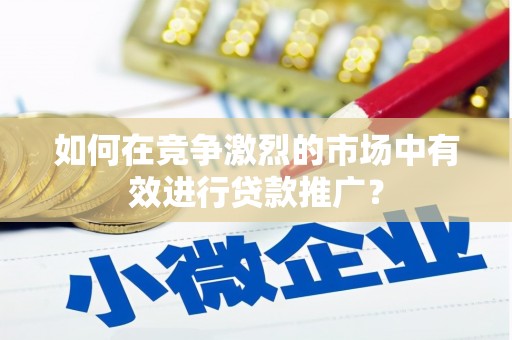 海东如何在竞争激烈的市场中有效进行贷款推广？