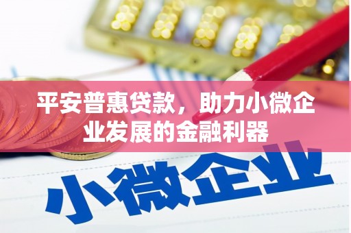 海东平安普惠贷款，助力小微企业发展的金融利器