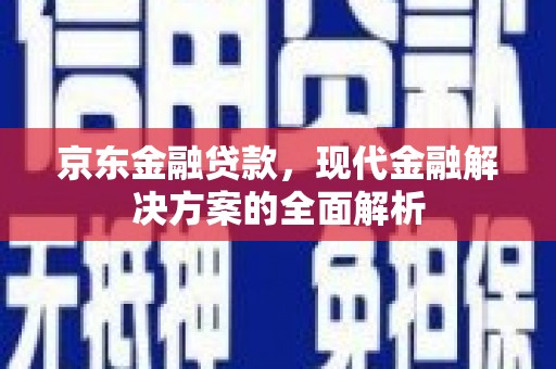 海东京东金融贷款，现代金融解决方案的全面解析