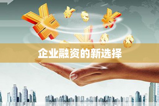 海东企业融资的新选择