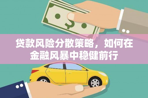 海东贷款风险分散策略，如何在金融风暴中稳健前行