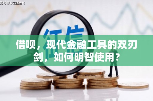 海东借呗，现代金融工具的双刃剑，如何明智使用？
