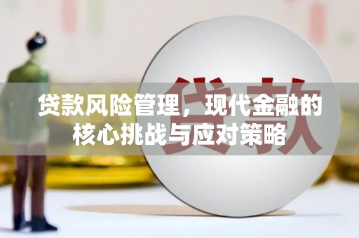 海东贷款风险管理，现代金融的核心挑战与应对策略