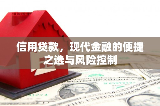 海东信用贷款，现代金融的便捷之选与风险控制