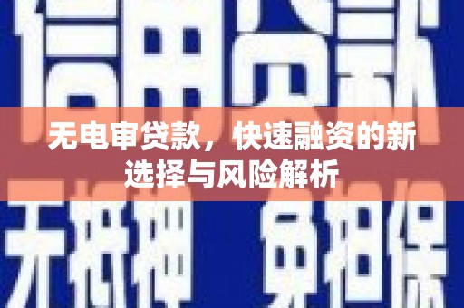 海东无电审贷款，快速融资的新选择与风险解析