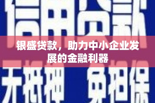 海东银盛贷款，助力中小企业发展的金融利器