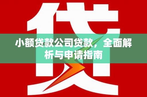 海东小额贷款公司贷款，全面解析与申请指南