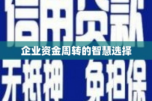 海东企业资金周转的智慧选择