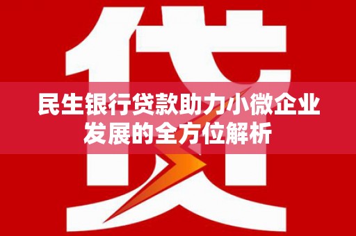 海东民生银行贷款助力小微企业发展的全方位解析