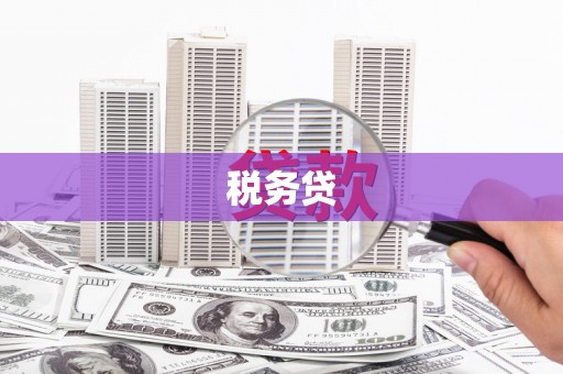 海东税务贷