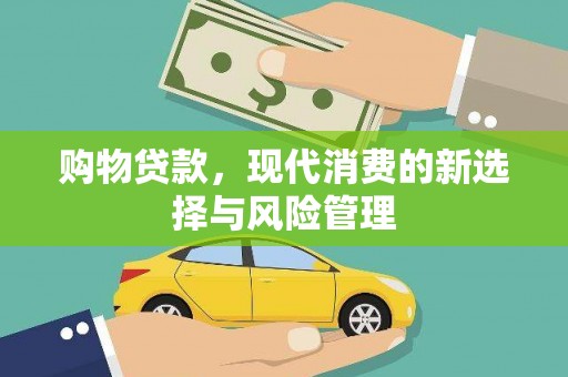 海东购物贷款，现代消费的新选择与风险管理