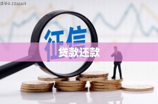 海东贷款还款