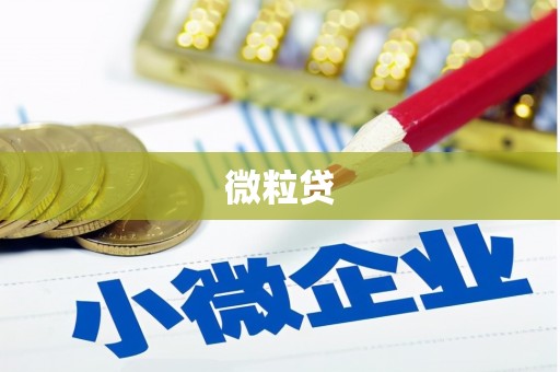 海东微粒贷