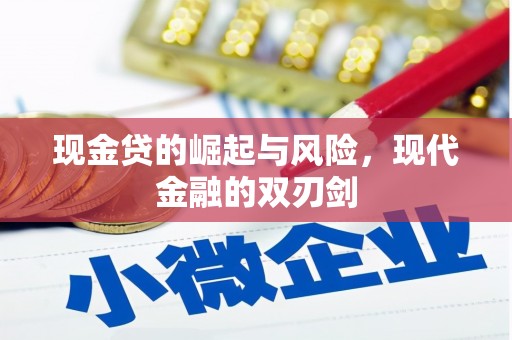 海东现金贷的崛起与风险，现代金融的双刃剑