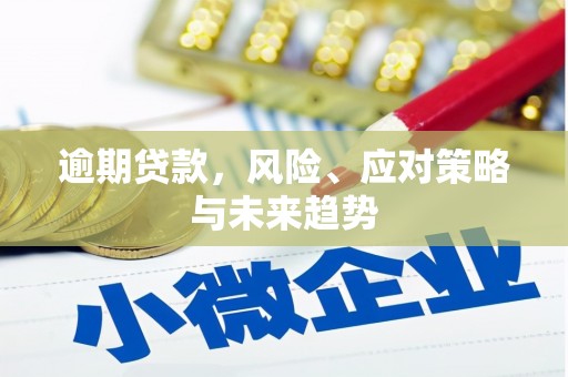 海东逾期贷款，风险、应对策略与未来趋势