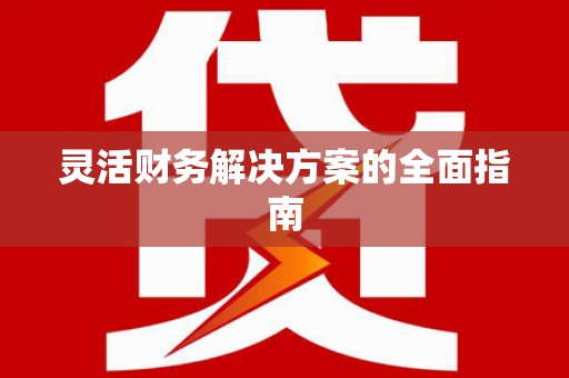 海东灵活财务解决方案的全面指南